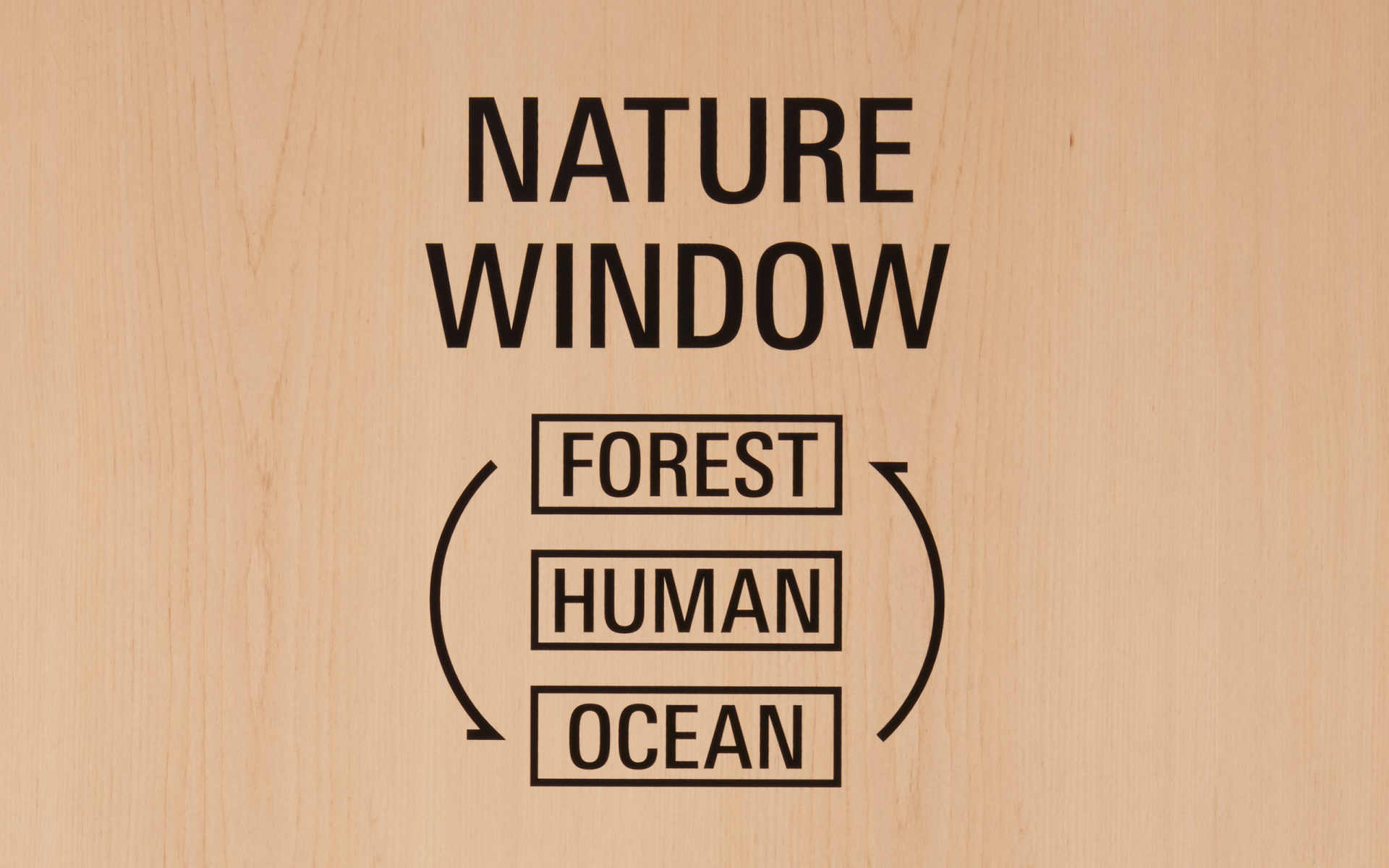 NATURE WINDOW