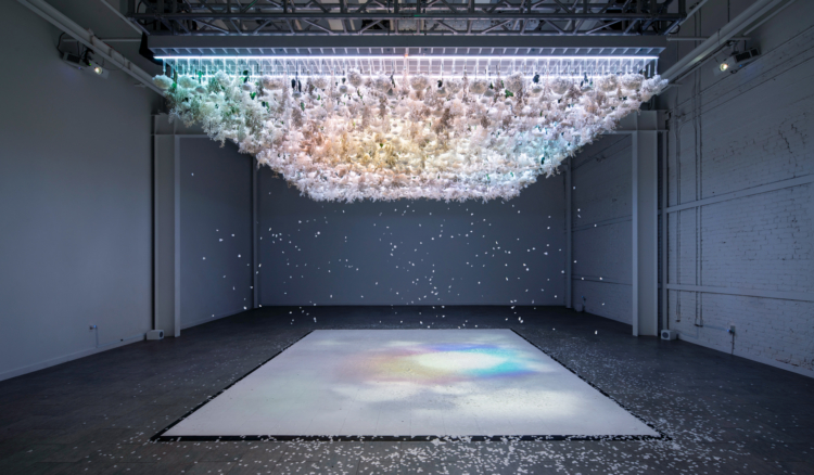 The Art of Bloom is open to public