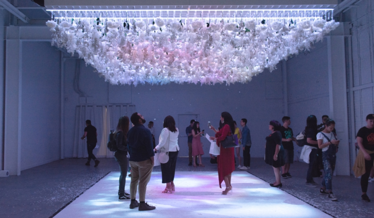 Press preview for The Art of Bloom