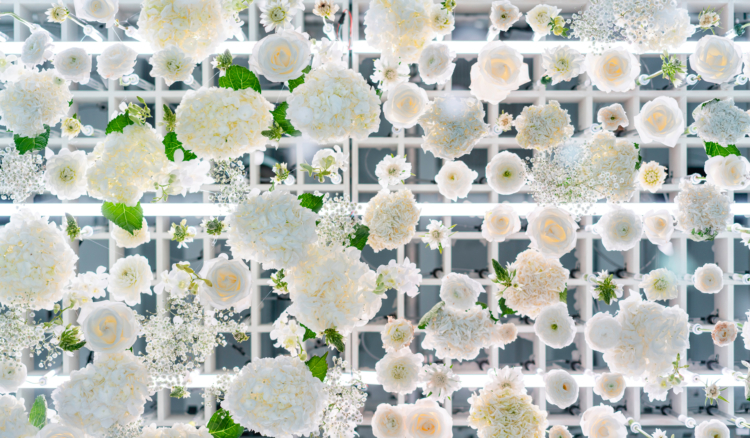 Additional Media Mentions for The Art of Bloom