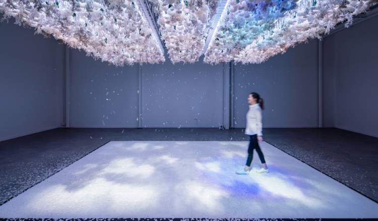 The Art of Bloom has been shortlisted for Frame Awards 2020